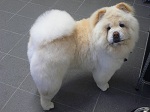 2012-10-12 10.37.05.jpg